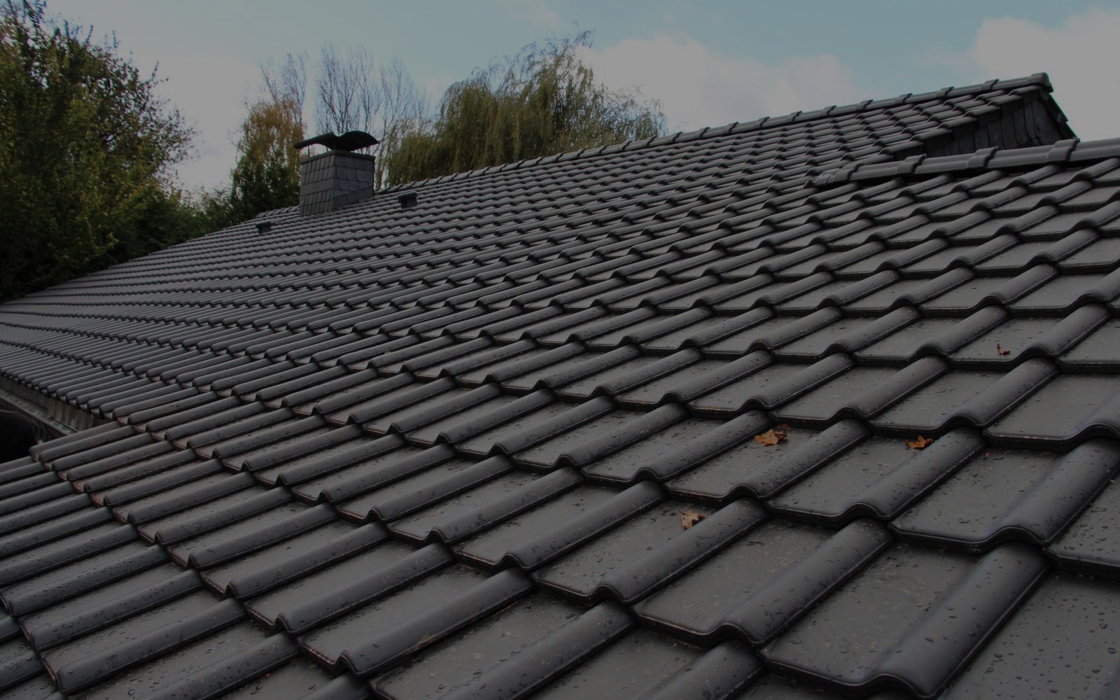 Nos travaux - Photo 8